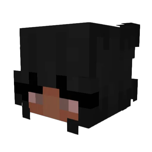 AkiRycos Minecraft avatar head, 3D render