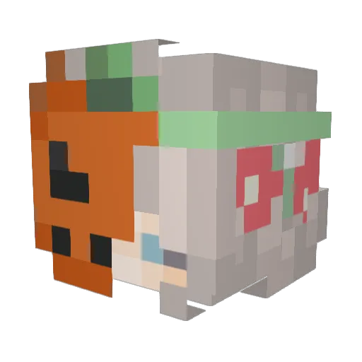 AkiTheSloth Minecraft avatar head, 3D render