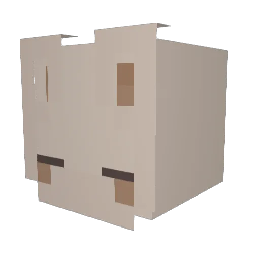 Aki_1014 Minecraft avatar head, 3D render