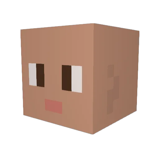 Aki_2017 Minecraft avatar head, 3D render