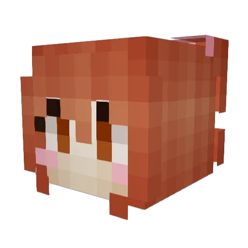 Aki_IDK Minecraft avatar head, 3D render