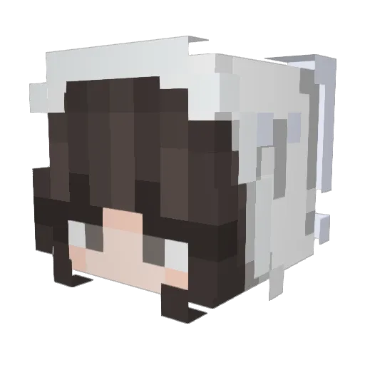 Aki_Ning Minecraft avatar head, 3D render
