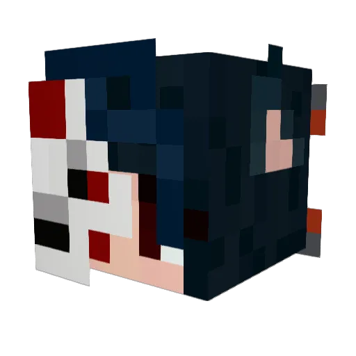 Aki_No_Sora Minecraft avatar head, 3D render