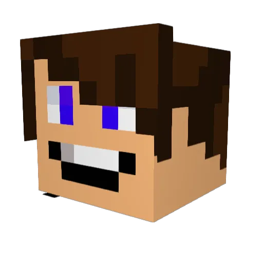 AkidoPM Minecraft avatar head, 3D render