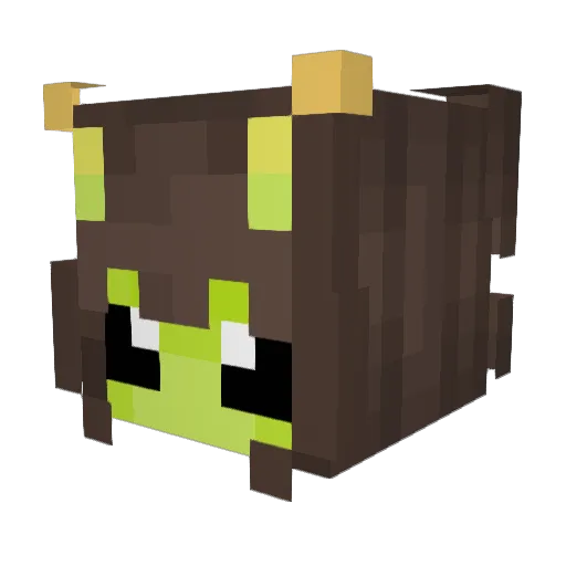 Akie14 Minecraft avatar head, 3D render