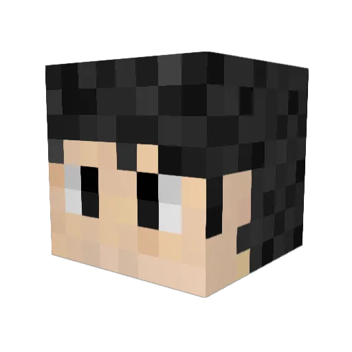 Akihiko__Kayaba Minecraft avatar head, 3D render