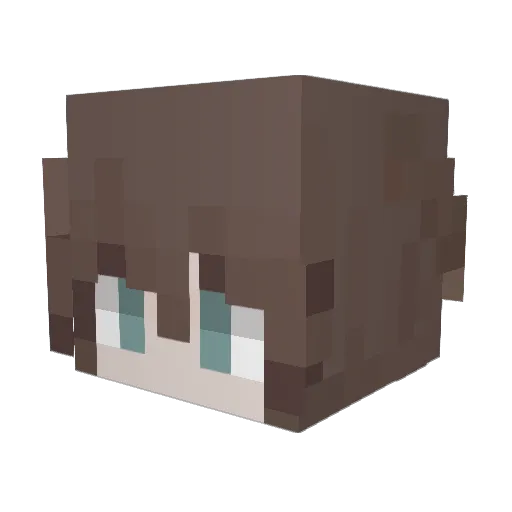 Akii_14x Minecraft avatar head, 3D render
