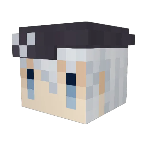Akikan09 Minecraft avatar head, 3D render