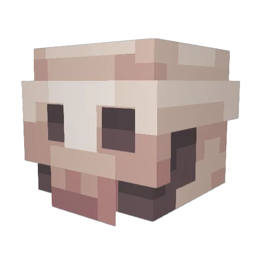 Akillz Minecraft avatar head, 3D render