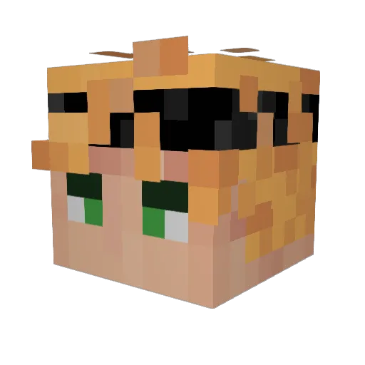 AkimVime Minecraft avatar head, 3D render
