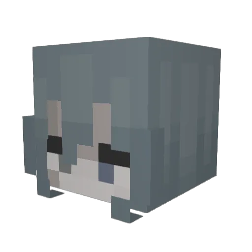 Akimeeee Minecraft avatar head, 3D render