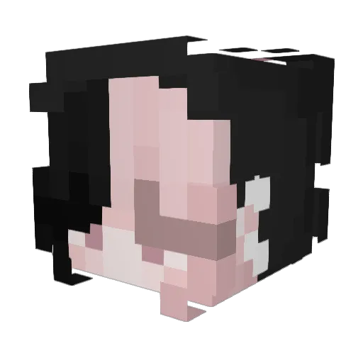 Akimorii Minecraft avatar head, 3D render
