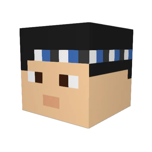 Akinator04 Minecraft avatar head, 3D render