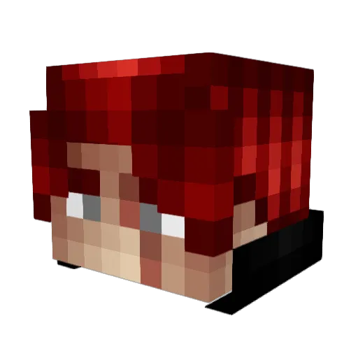 Aking19 Minecraft avatar head, 3D render