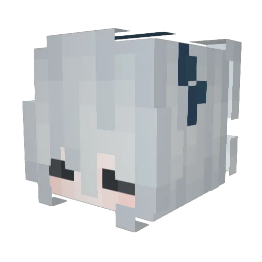 Akinoham3j Minecraft avatar head, 3D render