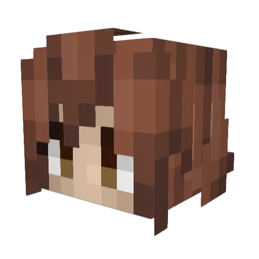 Akio_sama_ Minecraft avatar head, 3D render
