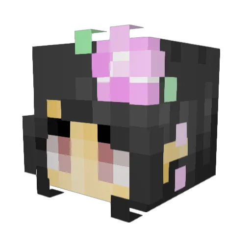 Akiomy Minecraft avatar head, 3D render
