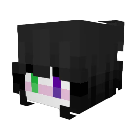 Akira1811 Minecraft avatar head, 3D render