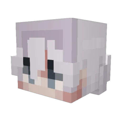 Akira2056 Minecraft avatar head, 3D render
