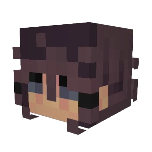 Akira423 Minecraft avatar head, 3D render