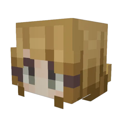 Akira61416 Minecraft avatar head, 3D render