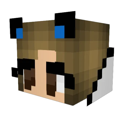 Akira7x_ Minecraft avatar head, 3D render