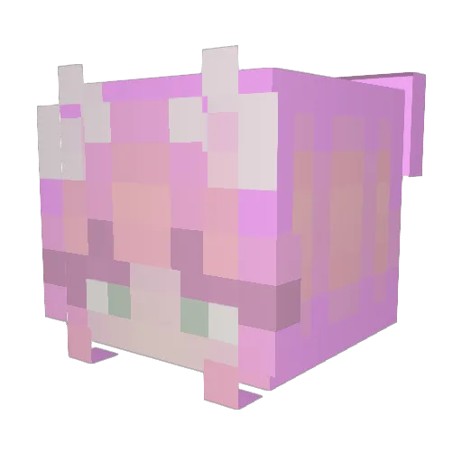 AkiraSorara Minecraft avatar head, 3D render