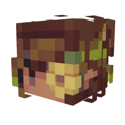 Akira_25 Minecraft avatar head, 3D render