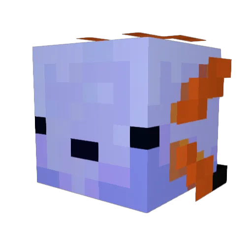 AkirotheAxolotl Minecraft avatar head, 3D render