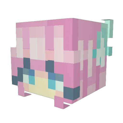 Akirup Minecraft avatar head, 3D render