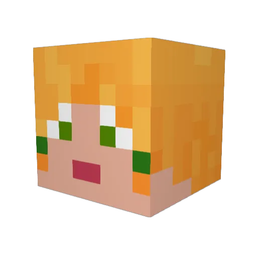 Akisan13 Minecraft avatar head, 3D render