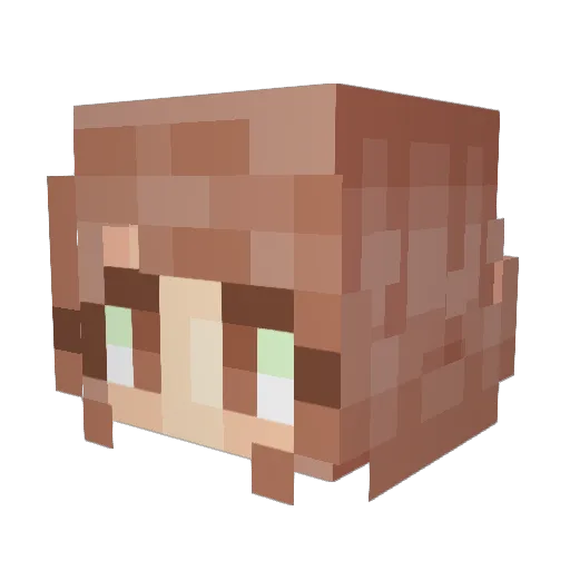 Akishinrin Minecraft avatar head, 3D render