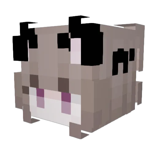 AkitaChann Minecraft avatar head, 3D render