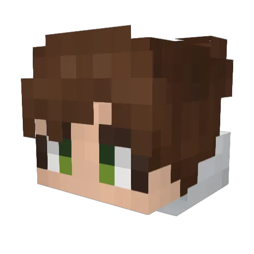 Akita_Sora Minecraft avatar head, 3D render