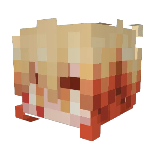 Akita_TheThingy Minecraft avatar head, 3D render