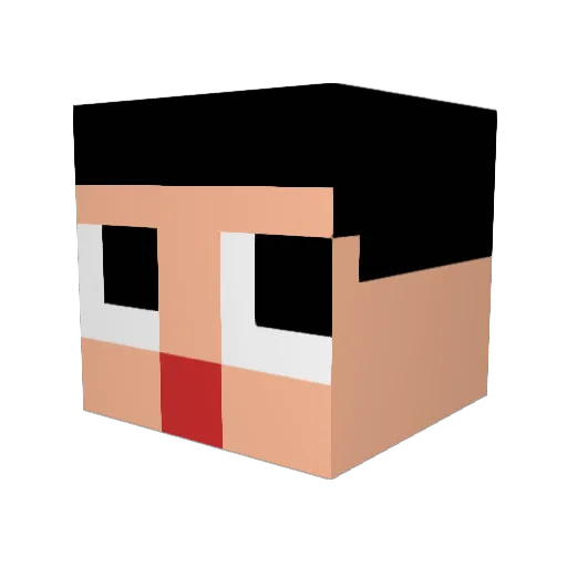Akito2009 Minecraft avatar head, 3D render