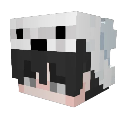 Akito_NGO Minecraft avatar head, 3D render