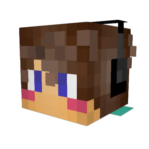 AkkaCat Minecraft avatar head, 3D render