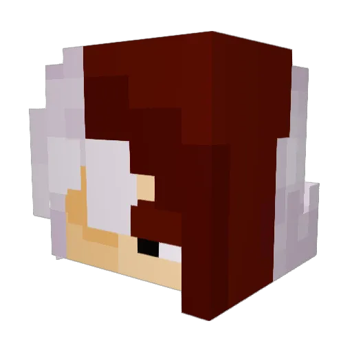 Akkarovail Minecraft avatar head, 3D render