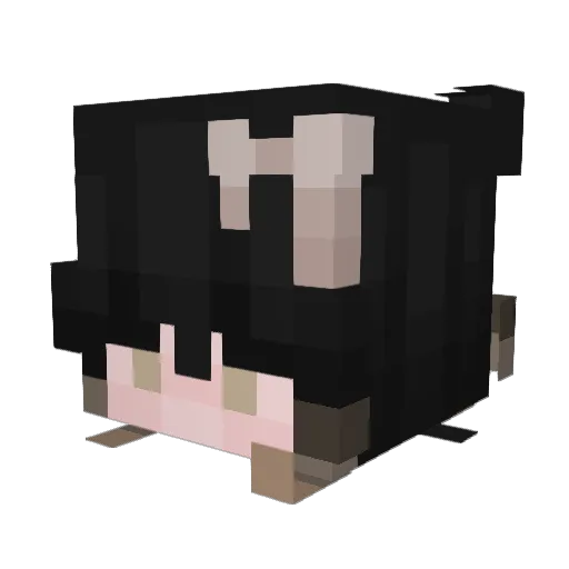 Akkeboe Minecraft avatar head, 3D render