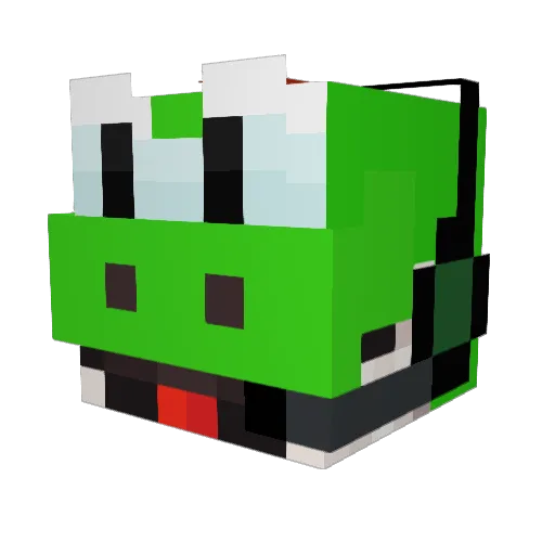 Akki_12 Minecraft avatar head, 3D render