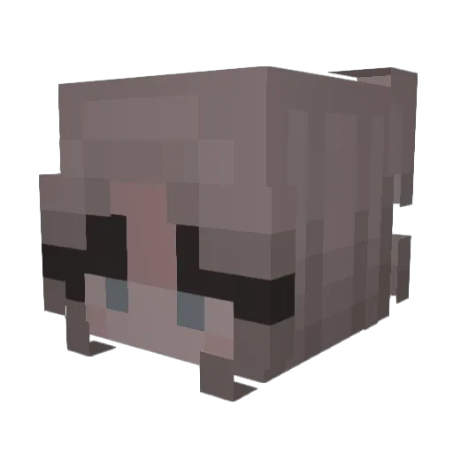 Akkiixo Minecraft avatar head, 3D render