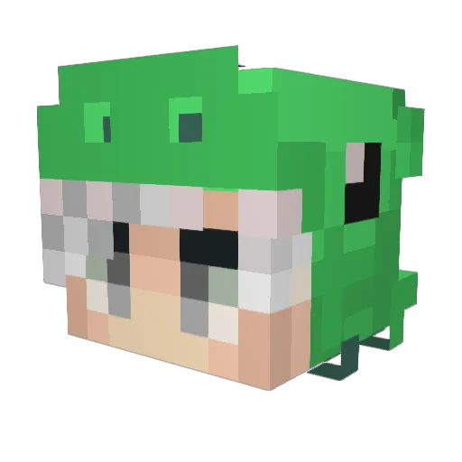 Akkiri_1013 Minecraft avatar head, 3D render