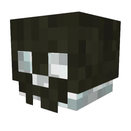 Akkityan Minecraft avatar head, 3D render