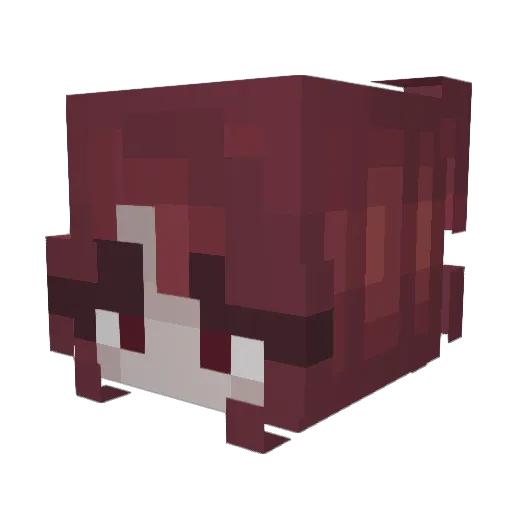 Akko Minecraft avatar head, 3D render