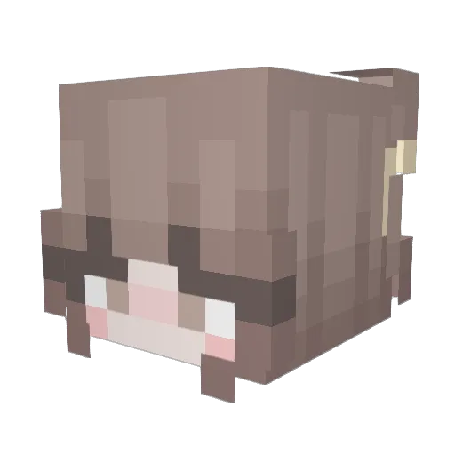 Akko_Boni Minecraft avatar head, 3D render