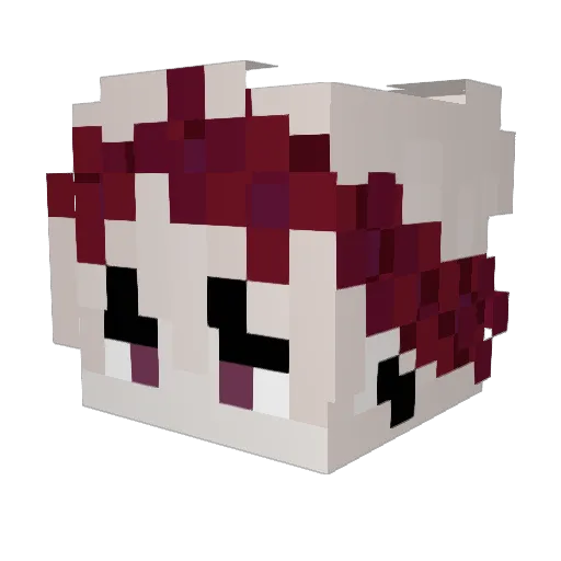 Akku___ Minecraft avatar head, 3D render