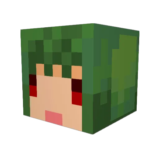 Akkun1 Minecraft avatar head, 3D render