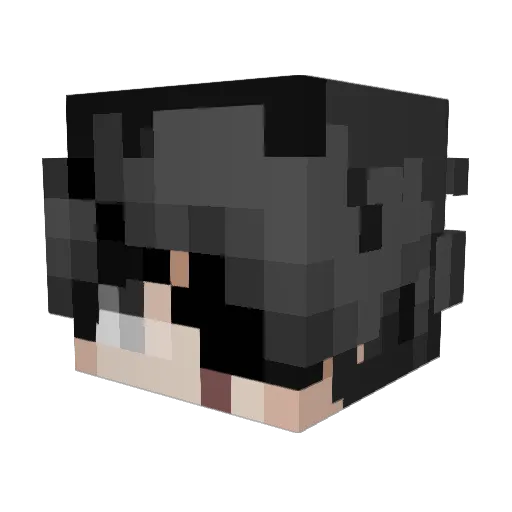 Aknter_ Minecraft avatar head, 3D render