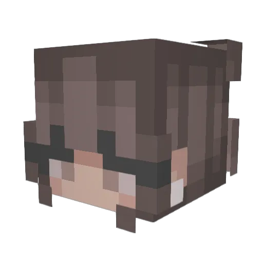 Ako13 Minecraft avatar head, 3D render